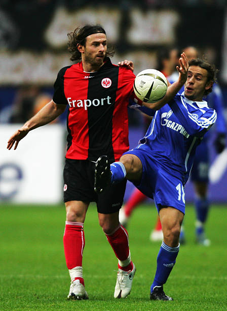 高回报的模 高回报的模